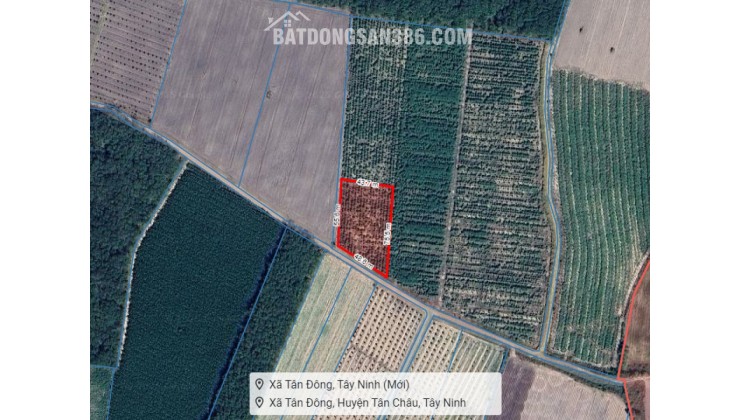 Đất 2.2 sào Mít SHR HXT – DT792 Tây Ninh S